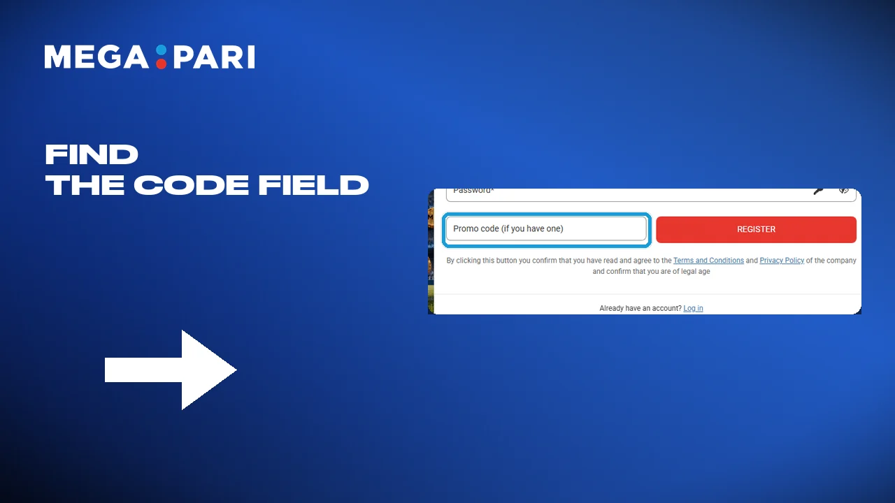 The button at the bottom opens the code field