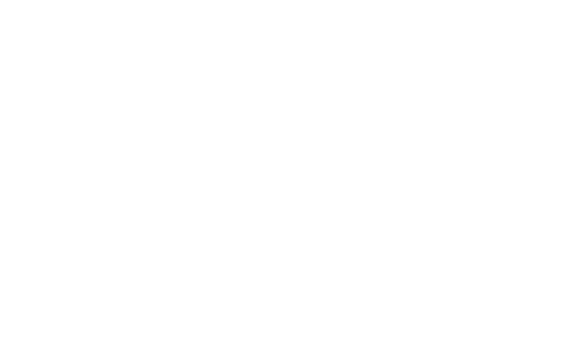 The statistics panel: clicks, conversions and money earned